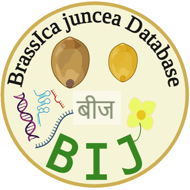 Brassica juncea database logo